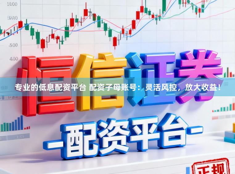 专业的低息配资平台 配资子母账号：灵活风控，放大收益！