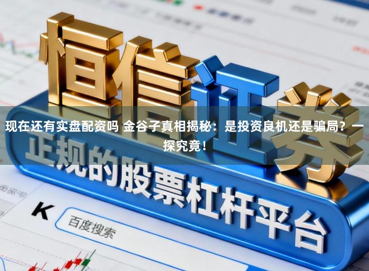 现在还有实盘配资吗 金谷子真相揭秘：是投资良机还是骗局？一探究竟！