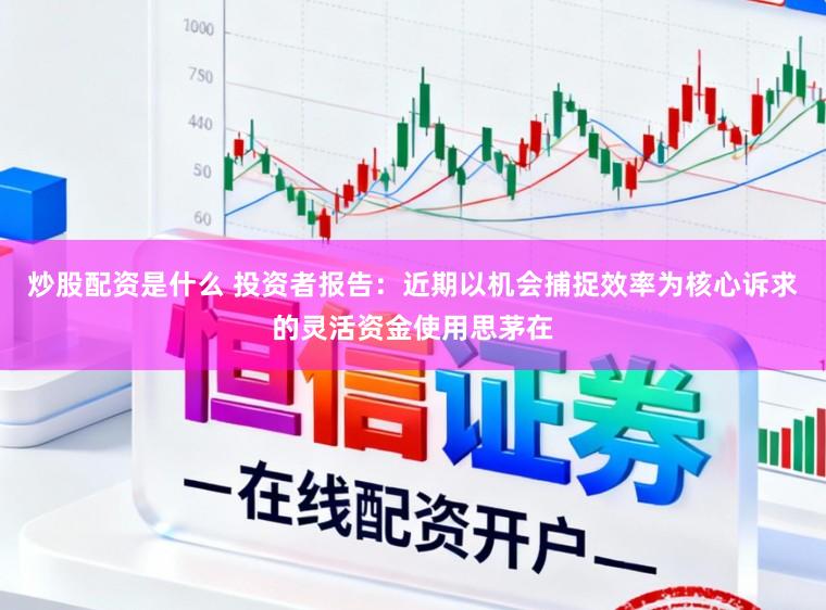 炒股配资是什么 投资者报告：近期以机会捕捉效率为核心诉求的灵活资金使用思茅在