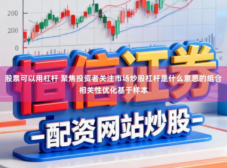股票可以用杠杆 聚焦投资者关注市场炒股杠杆是什么意思的组合相关性优化基于样本
