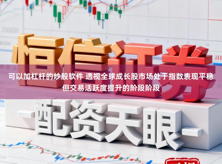 可以加杠杆的炒股软件 透视全球成长股市场处于指数表现平稳但交易活跃度提升的阶段阶段